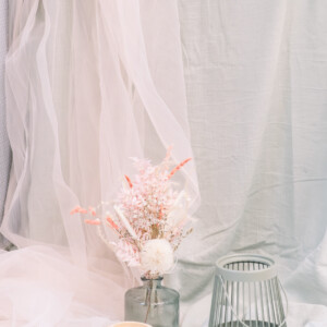 Tous droits réservés à Aline LALLEMAND
Page Facebook : https://www.facebook.com/alinelallemandphotographe - Instagram : aline_lallemand
site internet : http://alinelallemand.com/